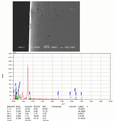 Gambar 4.  Mikrograf SEM-EDAX dari tampang-lintang pena piston pada proses nitridasi ion: waktu nitridasi 2  jam, suhu nitridasi 100  o C dan tekanan gas nitrogen 1,6 mbar.