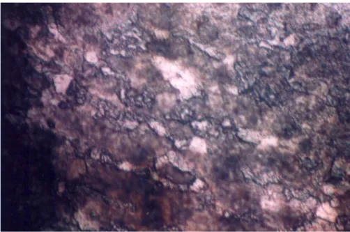 Gambar   6.     Struktur   mikro   pada   permukaan   baja   ST   42   setelah   proses nitridasi  pada suhu mencapai  370   o C dan waktu deposisi 3 jam (Etsa nital 3 %, perbesaran 400 X).
