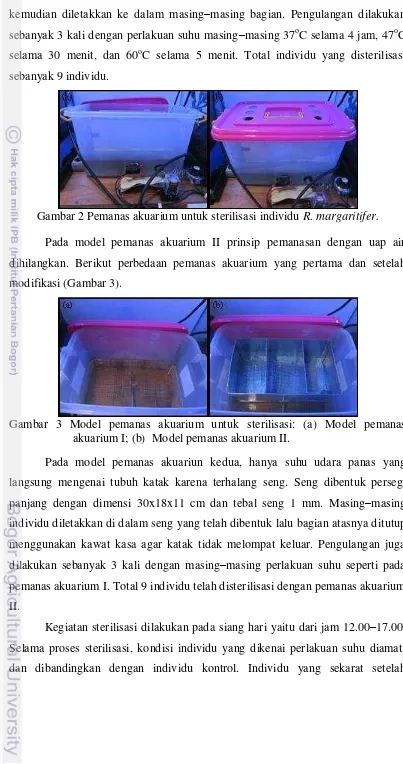 Gambar 3 Model pemanas akuarium untuk sterilisasi: (a) Model pemanas 