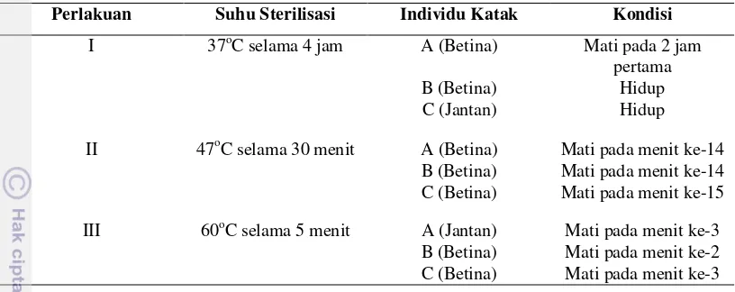 Tabel 3 Kondisi R. margaritifer setelah disterilisasi dengan model pemanas akuarium I  