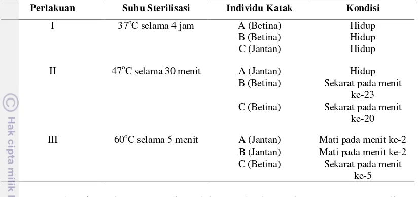 Tabel 4 Kondisi R. margaritifer setelah disterilisasi dengan model pemanas akuarium II 
