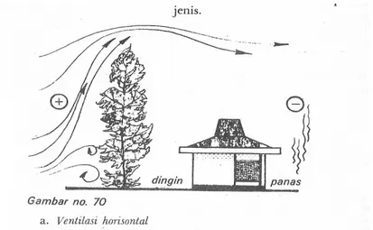 Gambar 1. Pohon-pohon cemara yang tinggi dan yang ditanam rapat sungguh baik  dijadikan dinding penanggulangan angin