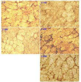 Gambar 2.17 Gambar struktur mikro logam A-7075 dengan komposisi jenis C 