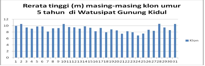 Gambar 1. Grafik pertumbuhan tinggi klon umur 5 tahun di Watusipat Gunung Kidul 