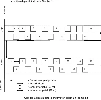 Gambar 1. Desain petak pengamatan dalam unit sampling 