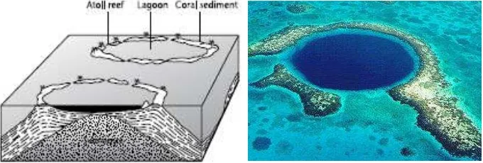 Gambar (Figure) 6. Terumbu karang penghalang  (Barrier reefs) 