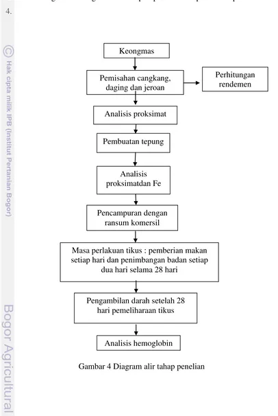 Gambar 4 Diagram alir tahap penelian  