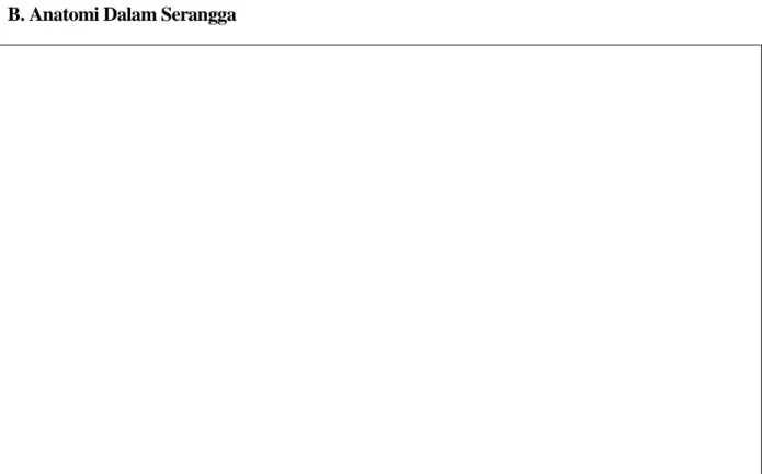 Gambar 2. Sistem Pencernaan Serangga 