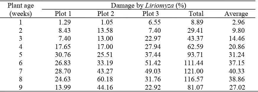 Table 2.  Damage by Liriomyza on the tomato leaves at Inderalaya