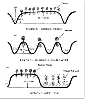 Gambar 6.1. Guludan Drainase 