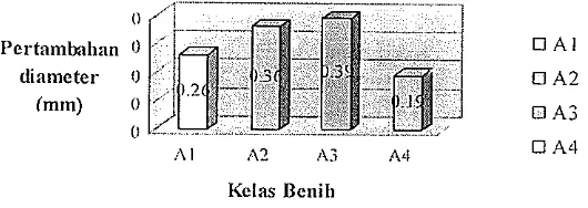 Gambar 7. Perbandingan Rata-Rata Pertanlballan Diameter Semai I'. nlocrocrrrpo dari Berat dan Ulinran Bcnih yang Berbeda pada Kelas Ulturan B11al1 It 
