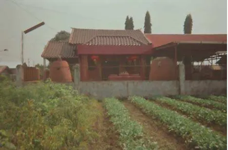 Gambar : Vihara yang menjadi tempat pelaksanaan ritual 