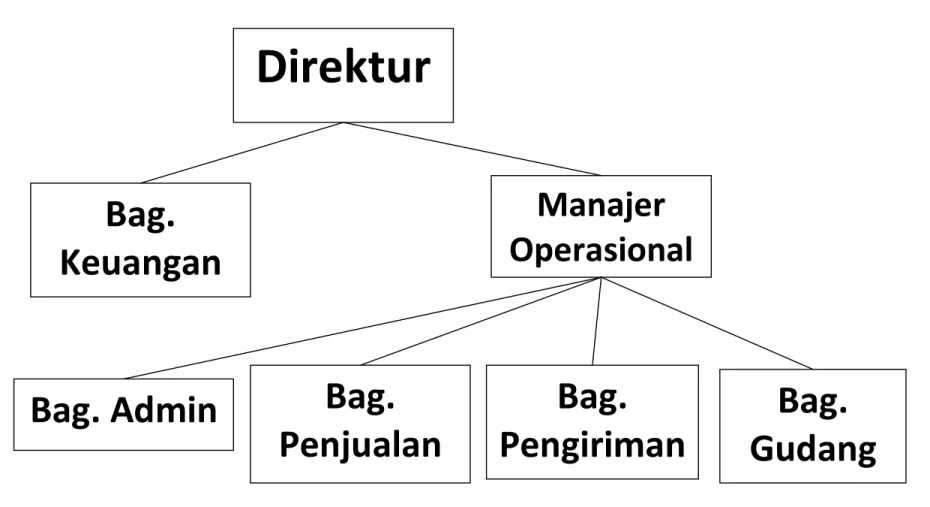 Gambar 3.1 Struktur Organisasi  (Sumber : CV. Permata Hati Abadi, 2011) Direktur 