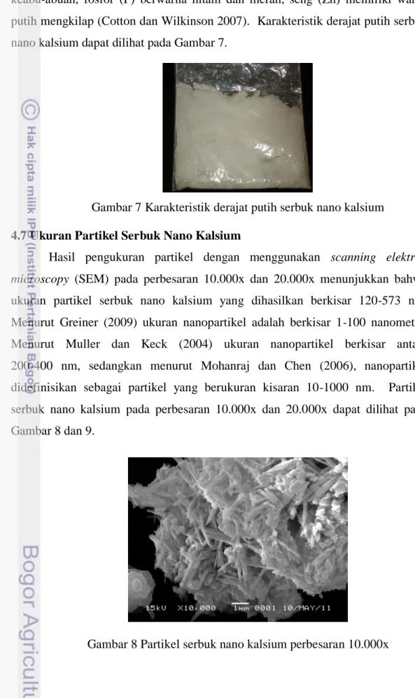 Gambar 7 Karakteristik derajat putih serbuk nano kalsium  4.7 Ukuran Partikel Serbuk Nano Kalsium 