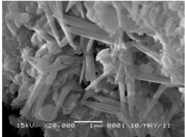 Gambar 9  Partikel serbuk nano kalsium perbesaran 20.000x 