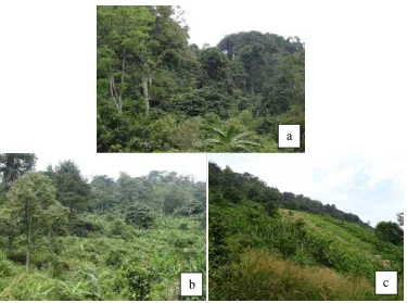 Gambar 3  Tipe habitat lutung jawa di TWA Gunung Pancar. (a) Hutan terdegradasi; (b) Peralihan hutan kebun; (c) Kebun