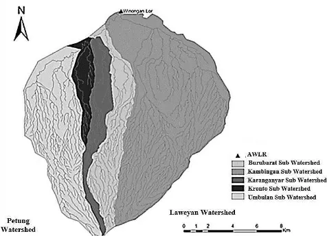 Figure 4. Sub-watersheds of Rejoso Watershed 