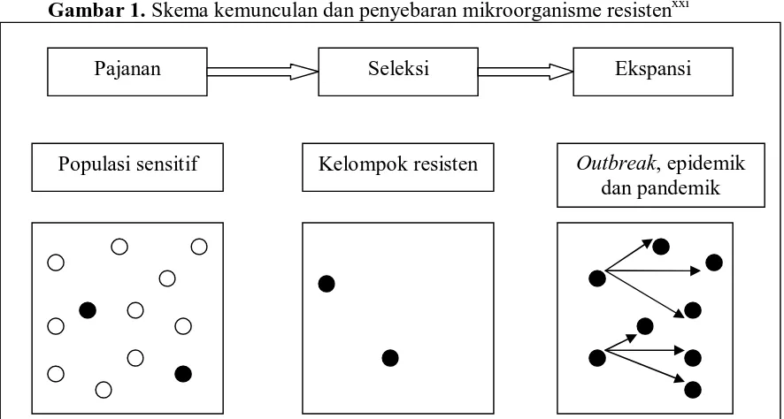 Gambar 1. Skema kemunculan dan penyebaran mikroorganisme resistenxxi 