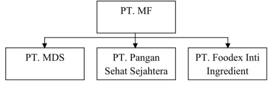 Gambar 1. Struktur Posisi PT. MDS 