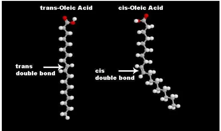 Gambar 1. Struktur kimia asam lemak konfigurasi cis dan trans 