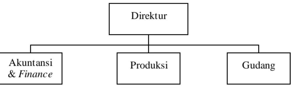 Gambar 3.1 : Struktur organisasi CV. Dwi Sarana M andiri Produksi 