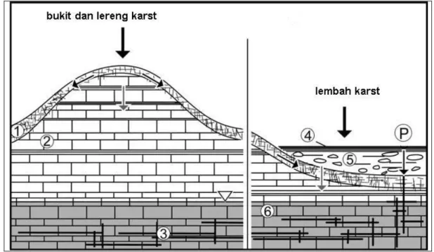 Gambar 1. Skema kemungkinan pergerakan air dari permukaan karst ke zona jenuh  (1)epikarst; (2)batugamping kering; (3)proses pelebaran lorong; (4)tanah atas; (5)tanah bawah; 