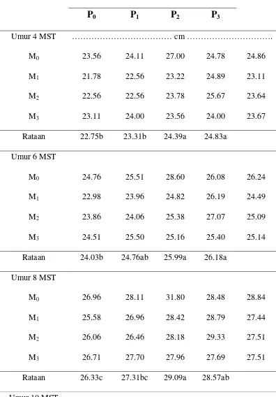 Tabel 1.  Rataan tinggi bibit kakao pada umur 4 – 12 MST akibat pengaruh kompos blotong dan pupuk NPK Mg 
