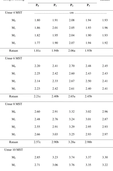 Tabel 2.  Rataan diameter batang bibit kakao (cm) pada umur 4 – 12 MST akibat pengaruh kompos blotong dan pupuk NPK Mg 