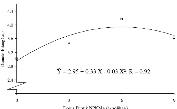 Gambar 2.  Hubungan antara dosis pupuk NPKMg dengan diameter 