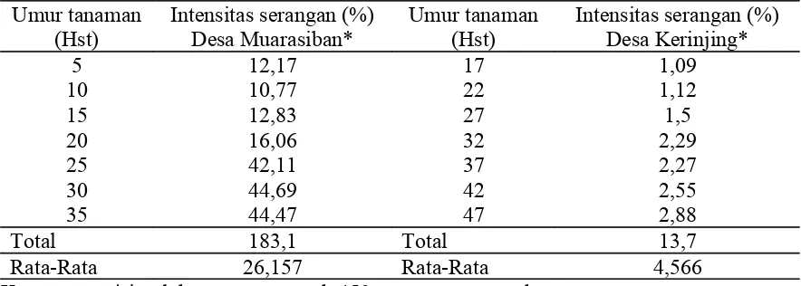 Tabel 2. Populasi Plutella xylostella pada tanaman sawi di Desa Muarasiban (September-Oktober) dan Desa Kerinjing (Oktober-Nopember) 