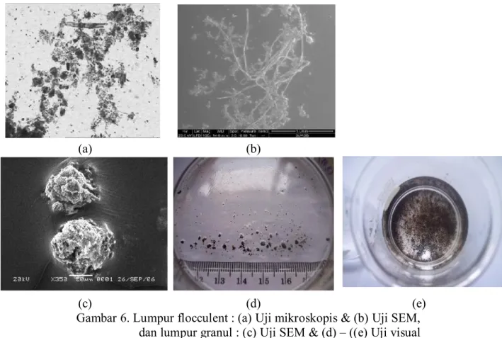 Gambar 6. Lumpur flocculent : (a) Uji mikroskopis &amp; (b) Uji SEM,                                dan lumpur granul : (c) Uji SEM &amp; (d) – ((e) Uji visual  Dalam  percobaan  ini  penambahan  