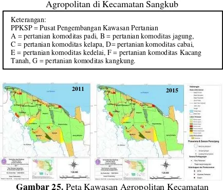 Gambar 24.  Diagram Tahapan Perkembangan Kawasan Agropolitan di Kecamatan Sangkub 