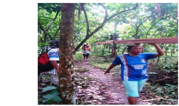 Gambar 14 Beberapa orang sedang mengangkut kayu dari dalam kawasan hutan 