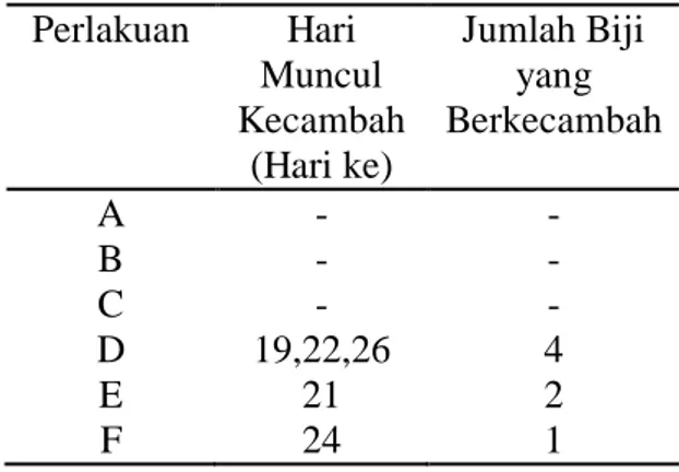 Tabel 2. Hari Muncul Kecambah setelah  tanam  dan  Jumlah  Biji  Sirsak  (Annona muricata L.) setelah 6  minggu tanam