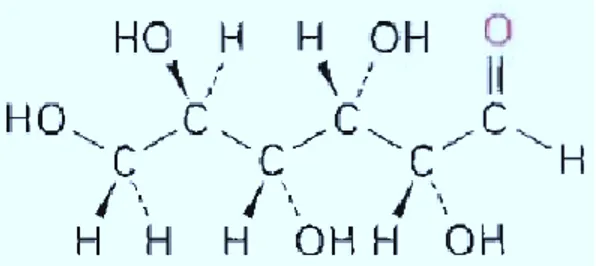 Gambar 1. Struktur kimia dari glukosa C 6 H 12 O 6 