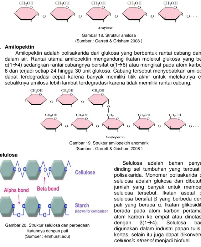 Gambar 20. Struktur selulosa dan perbedaan  ikatannya dengan pati  