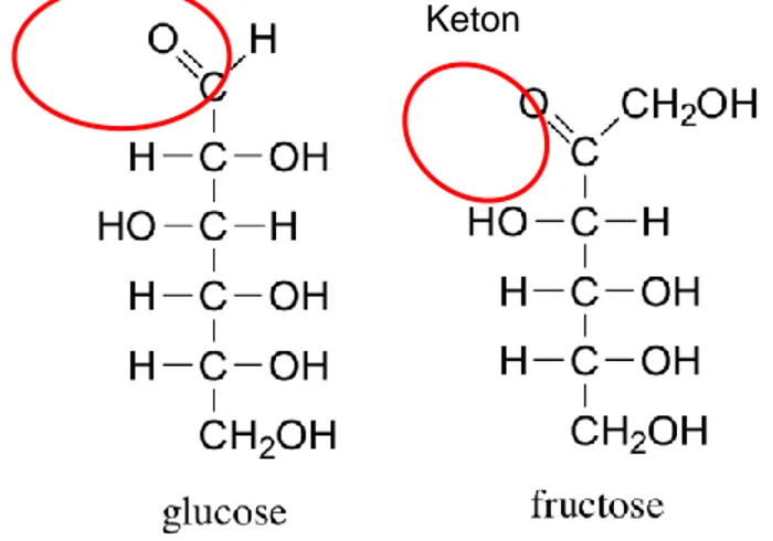 Gambar 9. Struktur kimia dari glukosa dan fruktosa serta perbedaannya dari sisi gugus fungsi   