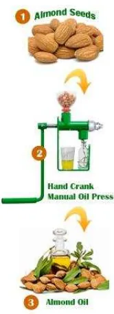 Gambar 4. Cara membuat almond oil menggunakan oil press 