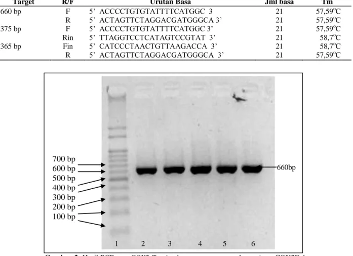 Tabel 1. Primer untuk amplifikasi gen COX2 pada Tarsius sp. 