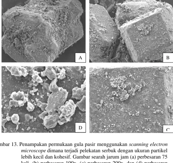 Gambar 13. Penampakan permukaan gula pasir menggunakan scanning electron microscope dimana terjadi pelekatan serbuk dengan ukuran partikel lebih kecil dan kohesif