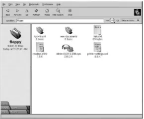 Figure 4-1. Viewing ﬁles on a Diskette with Nautilus