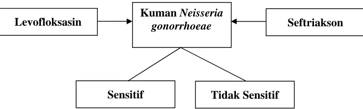 Gambar 7: Kerangka Konsep