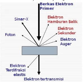 Gambar 4.1 Mekanisme Elektron setelah bertumbukan dengan sample