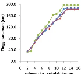 Gambar 3 Kurva pertumbuhan tinggi tanaman  mutan padi Hawara Bunar sensitif  Al per 2 minggu           16-20-14,                                    20-11-5,            20-11-6,                              kontrol HB