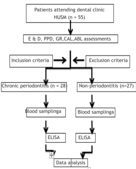 Table 2. The comparison of serum concentration level of IL-17 (pg/mL) between chronic periodontitis and non-periodontitis subjects.