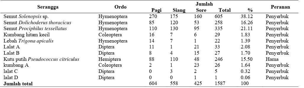Tabel 1. Hasil pengamatan serangga pengunjung tanaman zodia di kebun monokultur   