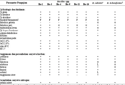 Tabel 1. Intensitas penyakit pada 30 hsi dan laju perkembangan penyakit layu bakteri pada beberapa varietas tomat setelah diinokulasikan R