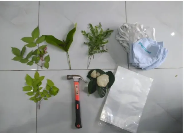 Gambar 2. Alat dan bahan Masker Ecoprint 