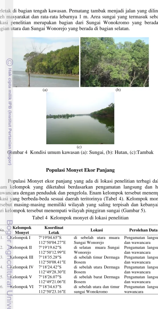 Gambar 4  Kondisi umum kawasan (a): Sungai, (b): Hutan, (c):Tambak 