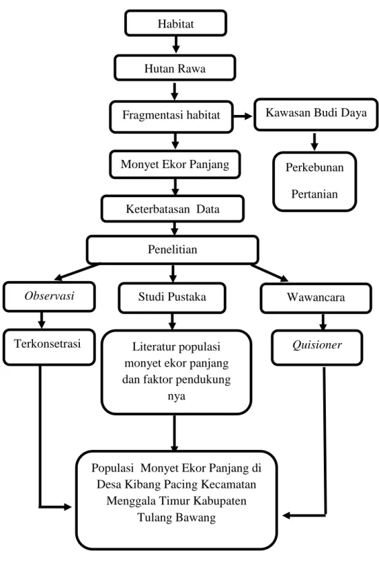 Gambar  1.  Diagram  alir  kerangka  penelitian  analisis  populasi  monyet  ekor  Panjang  di  Desa  Kibang  Pacing  Kecamatan  Menggala  Timur  Kabupaten Tulang Bawang